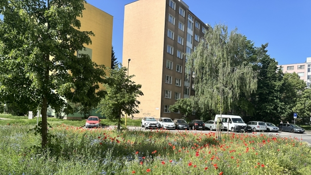 Mením svoje okolie a podporujem ďalších