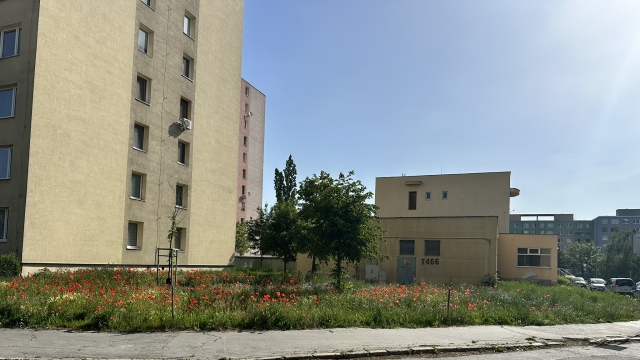Mením svoje okolie a podporujem ďalších