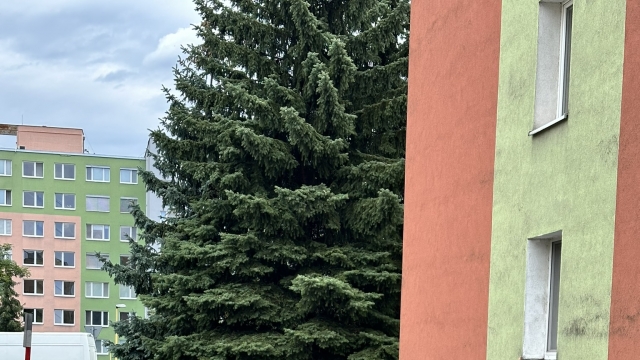 Mením nevyužívané spevnené plochy na zeleň
