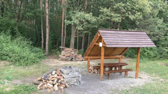 Zachraňujem Borovicový háj